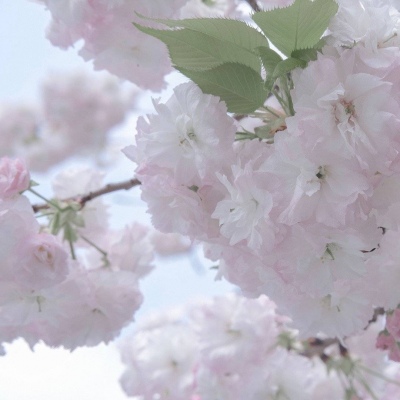 三都FurryQQ群介绍